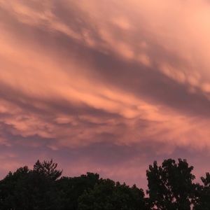 Meet your Posher, Ava